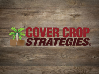 Cover Crop Strategies