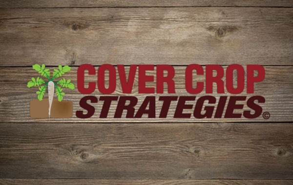 Cover Crop Strategies