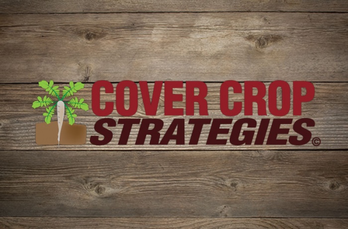 Cover Crop Strategies