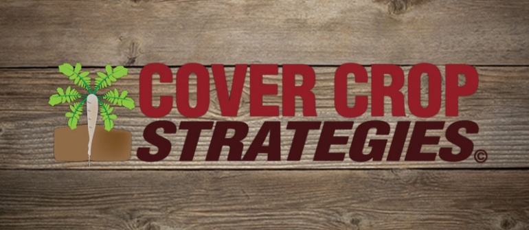 Cover Crop Strategies